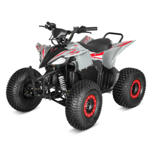 LMEATV-1000ZY 60V 1500W Electric ATV (F-N-R with LCD Display)